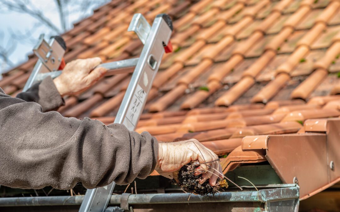 homeowner cleaning gutters by hand